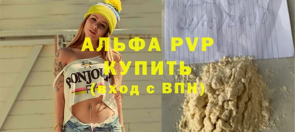 дживик Новозыбков