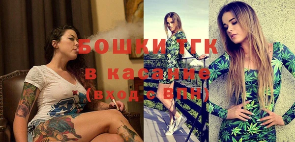 дживик Новозыбков