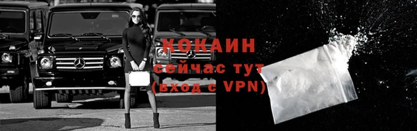 дживик Новозыбков