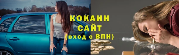 дживик Новозыбков