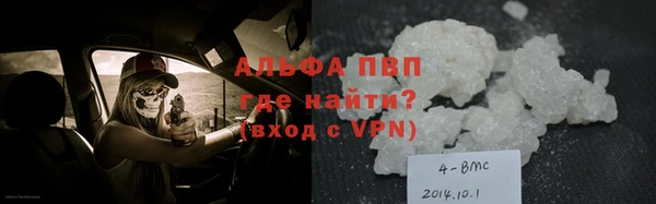 дживик Новозыбков