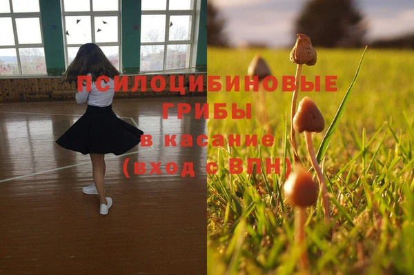 МДПВ Бикин