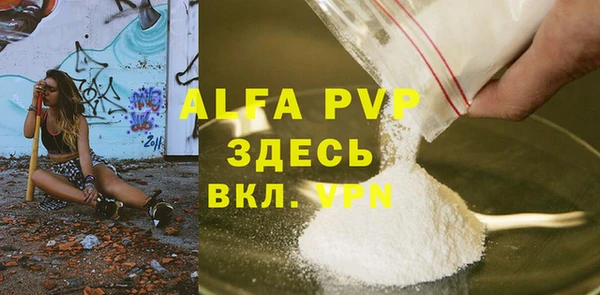дживик Новозыбков