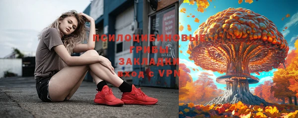 MDMA Новодвинск