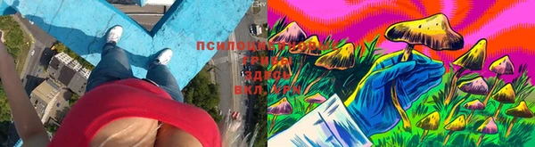 MDMA Новодвинск